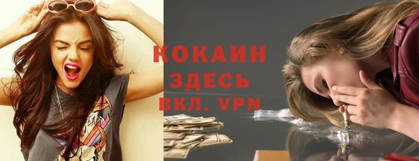 мдпв Новодвинск