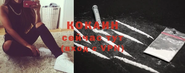 мдпв Новодвинск
