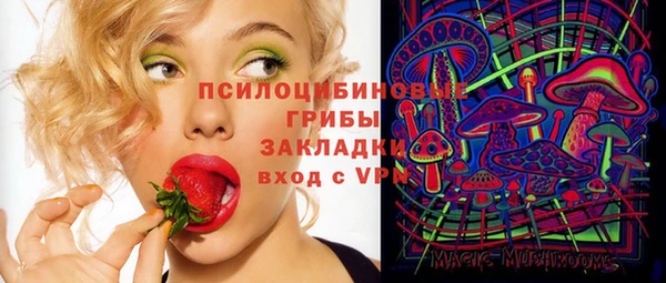 ПСИЛОЦИБИНОВЫЕ ГРИБЫ Белая Калитва
